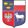 Medycyna pracy w Mszanie Dolnej – gdzie wykonać kompleksowe badania