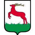 Medycyna pracy w Pile – gdzie wykonać kompleksowe badania