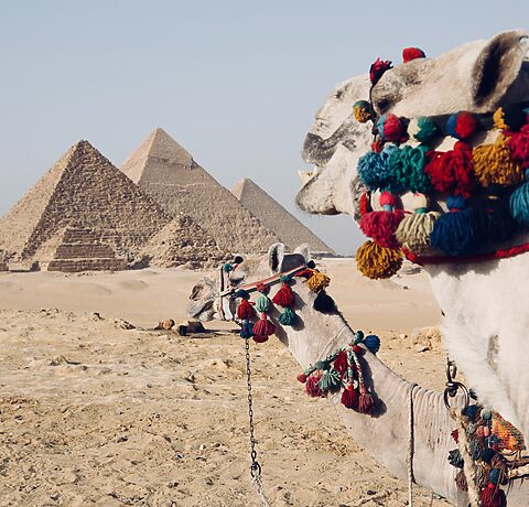 Ubezpieczenie turystyczne do Egiptu