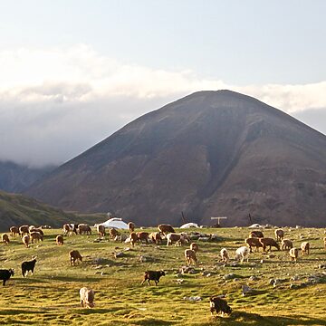 Ubezpieczenie turystyczne do Mongolii