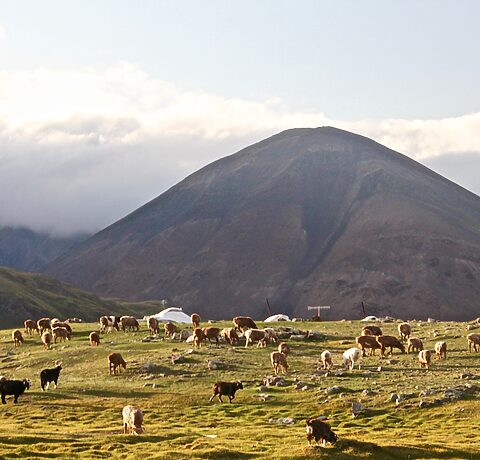 Ubezpieczenie turystyczne do Mongolii