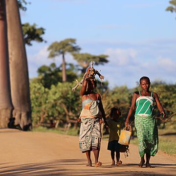 Ubezpieczenie turystyczne na Madagaskar