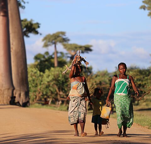 Ubezpieczenie turystyczne na Madagaskar