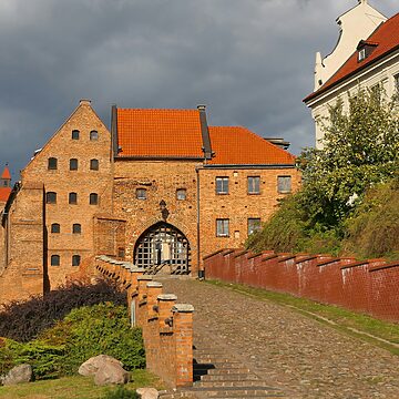 Medycyna pracy w Grudziądzu - gdzie wykonać kompleksowe badania