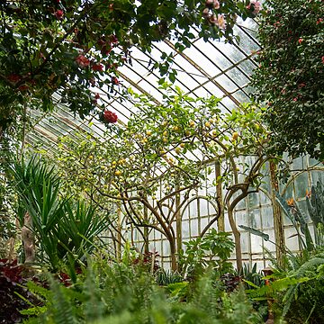 Ubezpieczenie OC projektanta ogrodów botanicznych