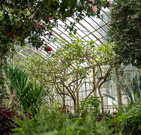 Ubezpieczenie OC projektanta ogrodów botanicznych